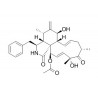 Cytochalasin D