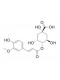 4-O-Feruloylquinic acid