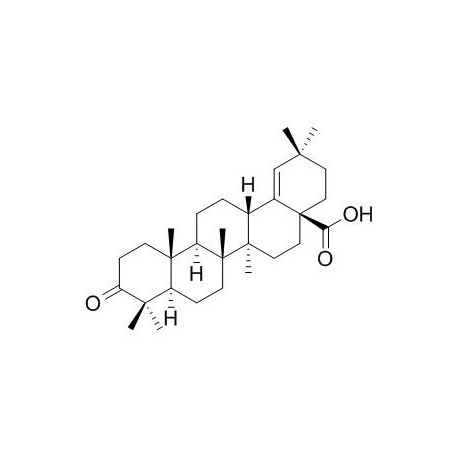 Moronic acid