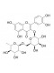 Quercetin 3-O-robinobioside