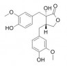 Nortrachelogenin