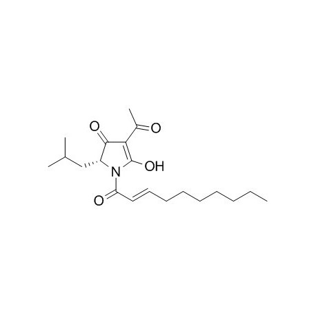 Reutericyclin