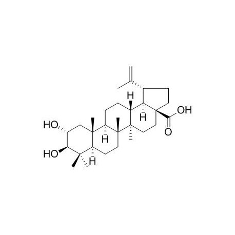 Alphitolic acid