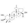 Alphitolic acid