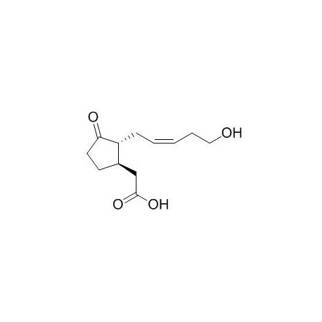 12-Hydroxyjasmonic acid