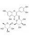 Quercetin-3-o-rutinose