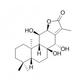 Yuexiandajisu D