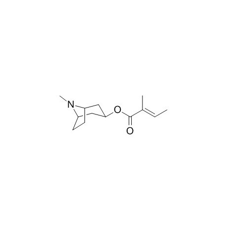 Tigloidine
