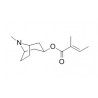 Tigloidine