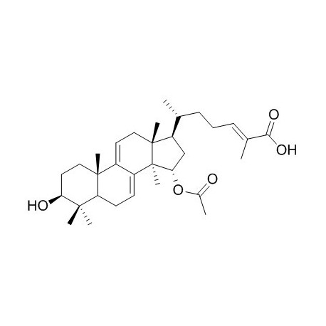 Ganoderic acid TN