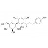 Nothofagin