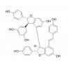 cis-Miyabenol C