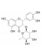 Isoastilbin