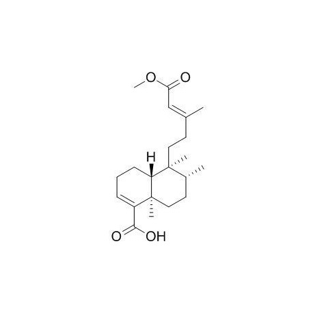 Monomethyl kolavate