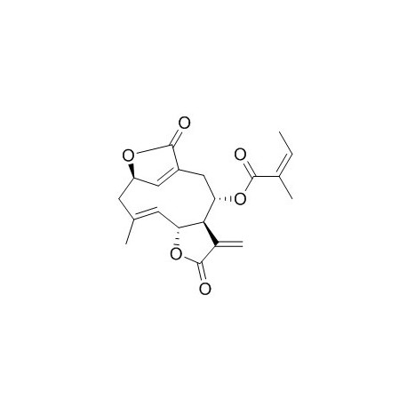 Isoscabertopin