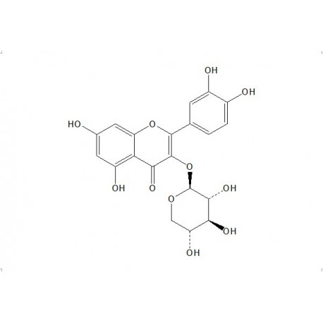 Quercetin 3-O-β-D-xylopyranoside