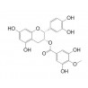 Epicatechin 3-O-(4-O-methylgallate)