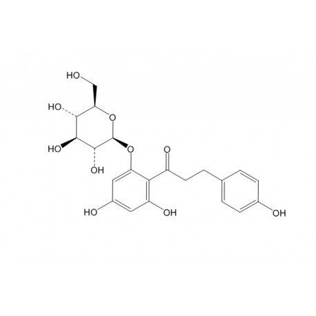 Phlorizin