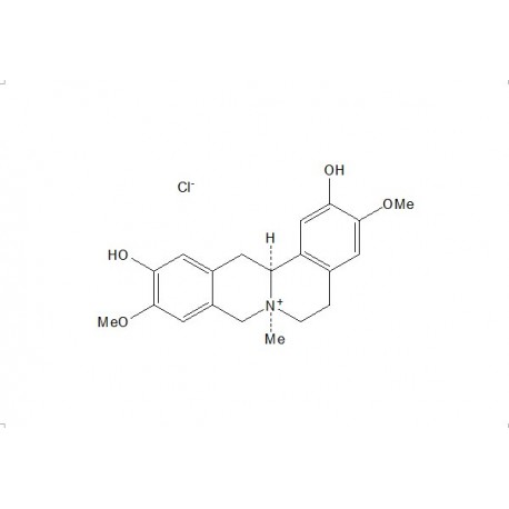 Phellodendrine chloride