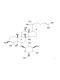 20(R)-Ginsenoside Rh1