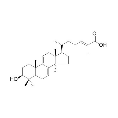 Ganoderic acid Y