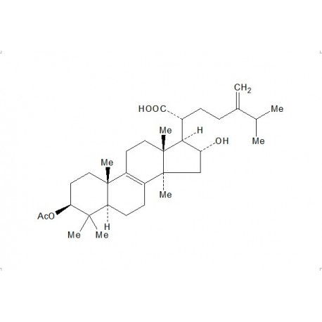 Pachymic acid