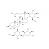 Notoginsenoside R1
