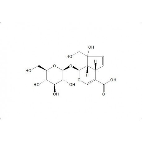 Monotropein