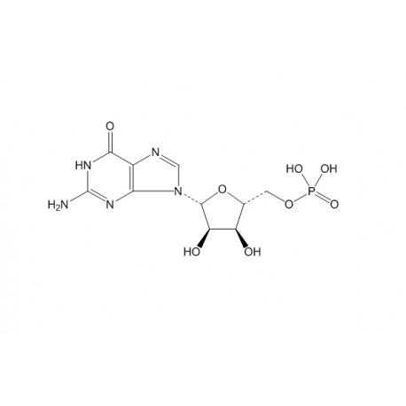 5'-Guanylic acid