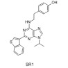 StemRegenin 1