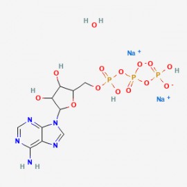 ATP disodium salt hydrate