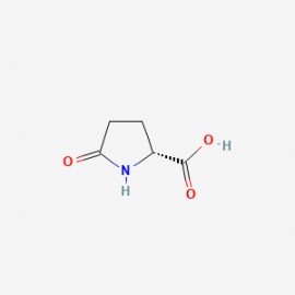 (R)-5-Oxopyrrolidine-2-carboxylic acid