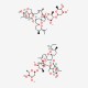 Ivermectin