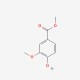 Methyl Vanillate