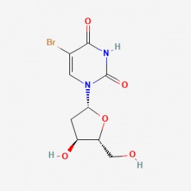 5-BrdU