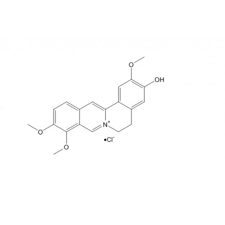 Jatrorrhizine chloride