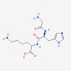 Glycyl-L-Histidyl-L-Lysine