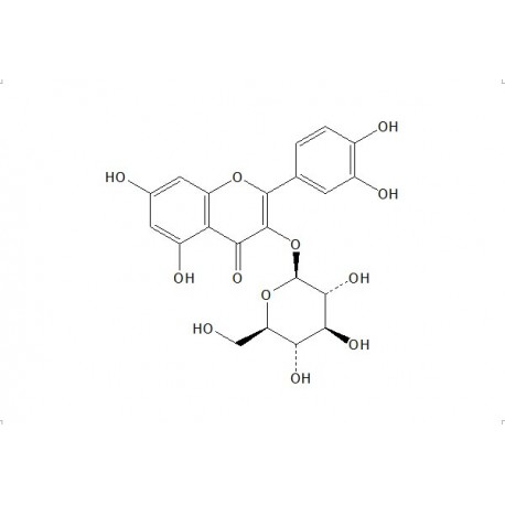 Isoquercitrin