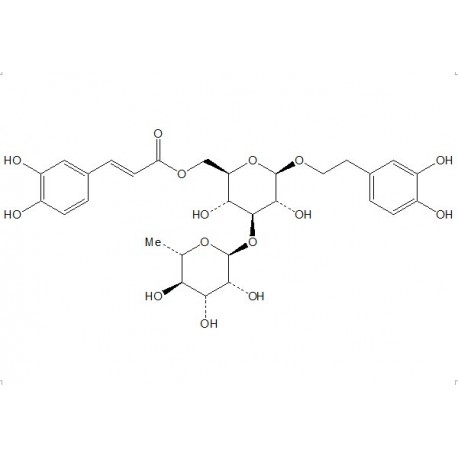 Isoacteoside