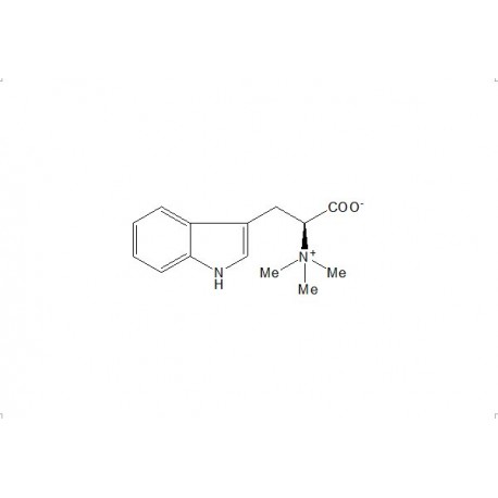 Hypaphorine