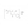 Hyoscyamine sulfate hydrate