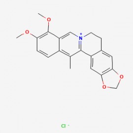 13-Methylberberine chloride