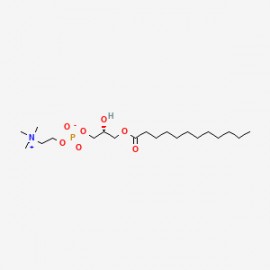 LysoFos Choline 12