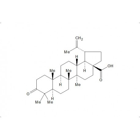 Betulonic acid