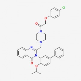 Erastin2