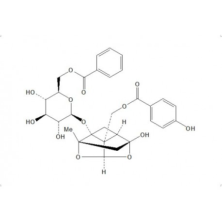 Benzoyloxypaeoniflorin