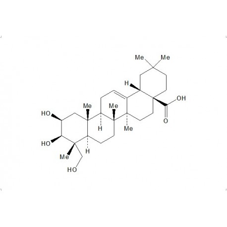 Bayogenin