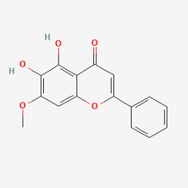 Negletein