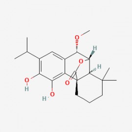 7-Methoxyrosmanol