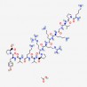 ACTH 11-24 acetate(4237-93-8 free base)